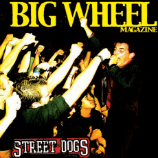 Interview with Mike McColgan of Street Dogs