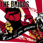 The Briggs record image